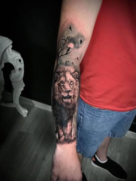 Tatouage manchette homme, tattoo lion masculin à Gradignan proche de Bordeaux et bassin d’Arcachon 